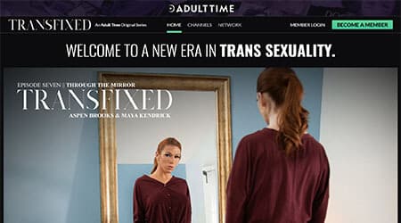 Transfixed Porn Series