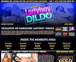 Ladyboy Dildo Review
