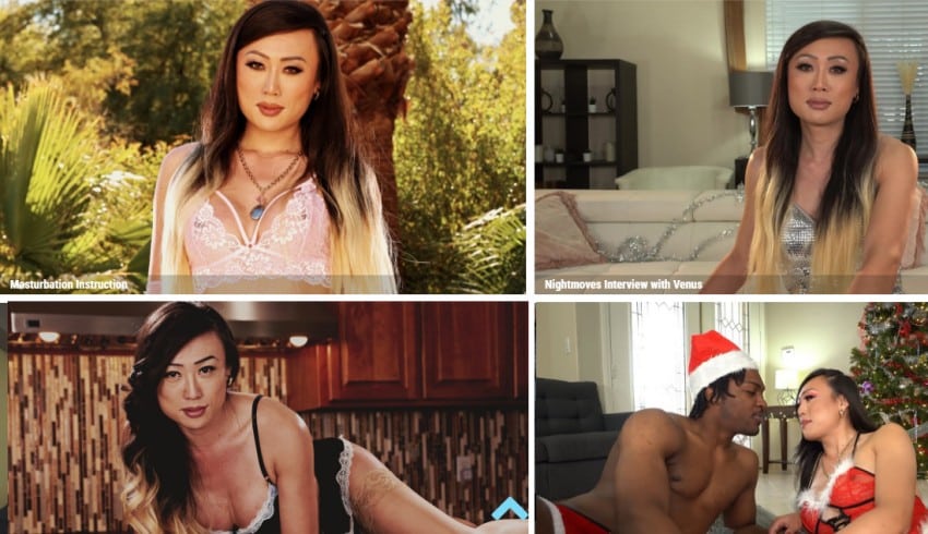 venus lux scenes from her website