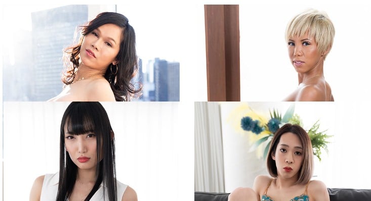 transex Japan model selection