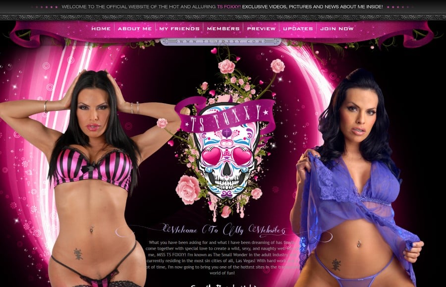 TS foxxy official site landing page