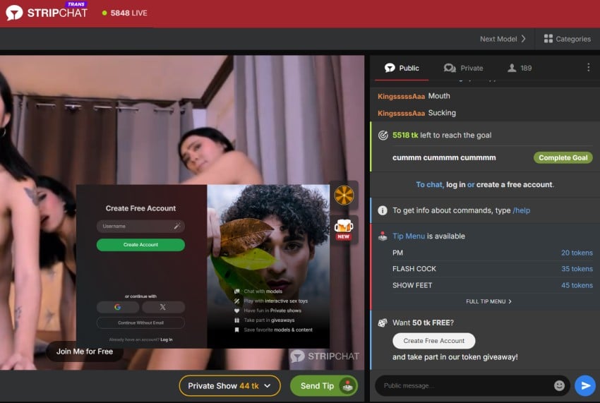 Public chat room at Stripchat