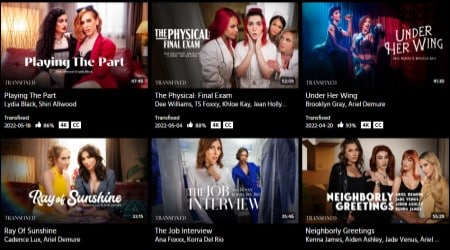 Transfixed Porn Series