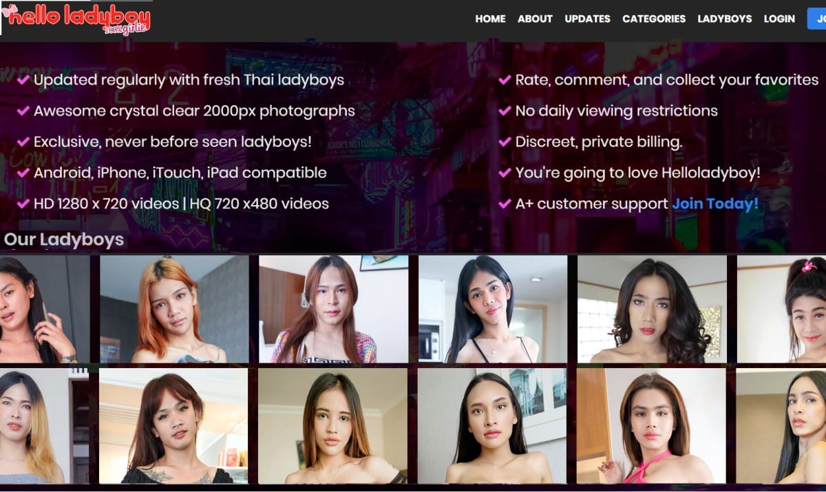 models selection at Hello Ladyboy