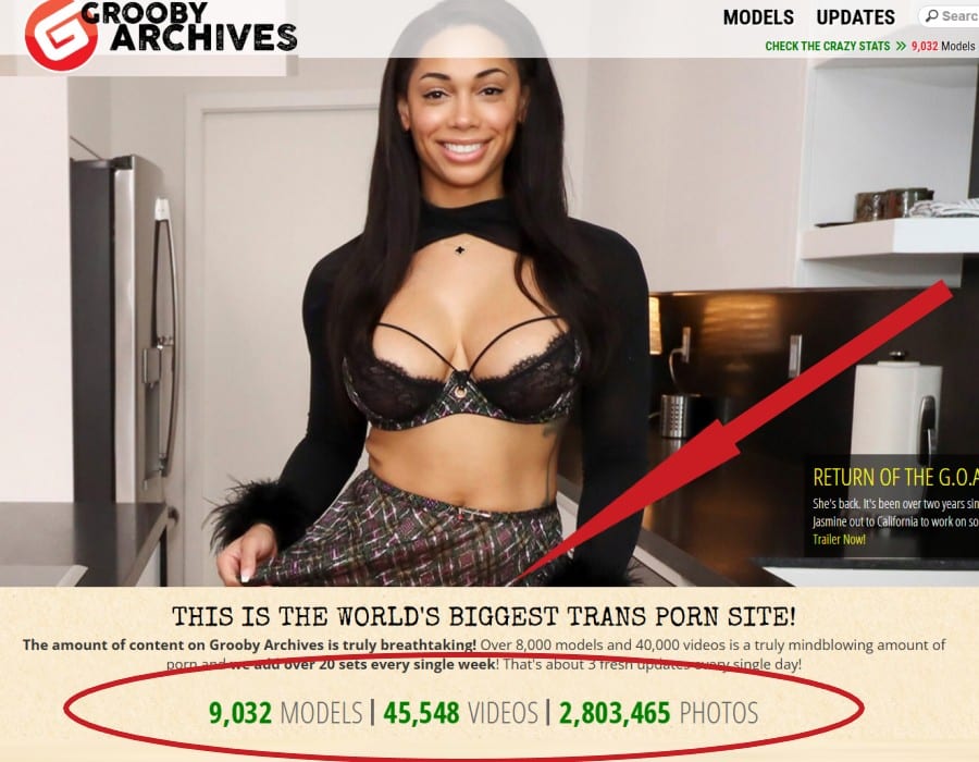 Grooby Archives Review