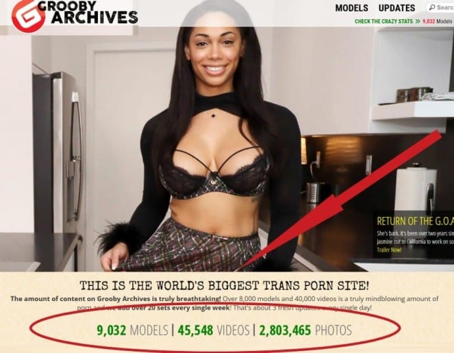 The largest trans porn site