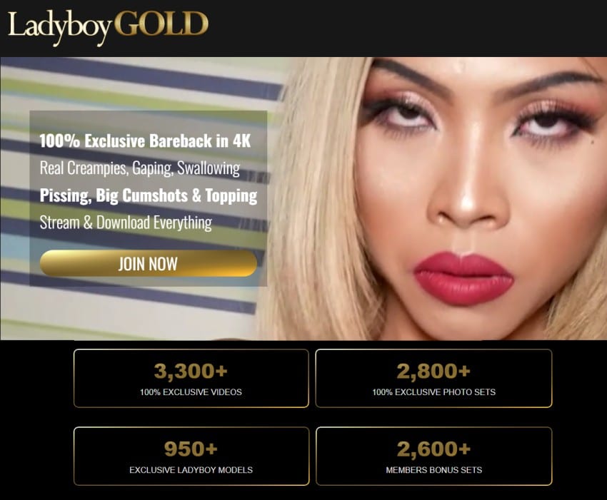 ladyboy stats videos and models