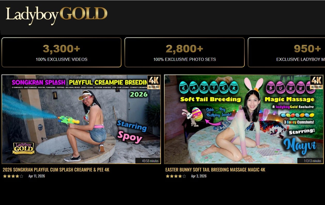 stats from ladyboy gold network videos models and photo